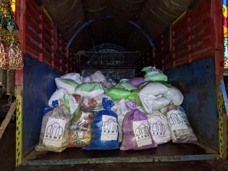 WhatsApp Image 2025-07-06 at 20.27.53 (1)